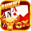 rummy khel
